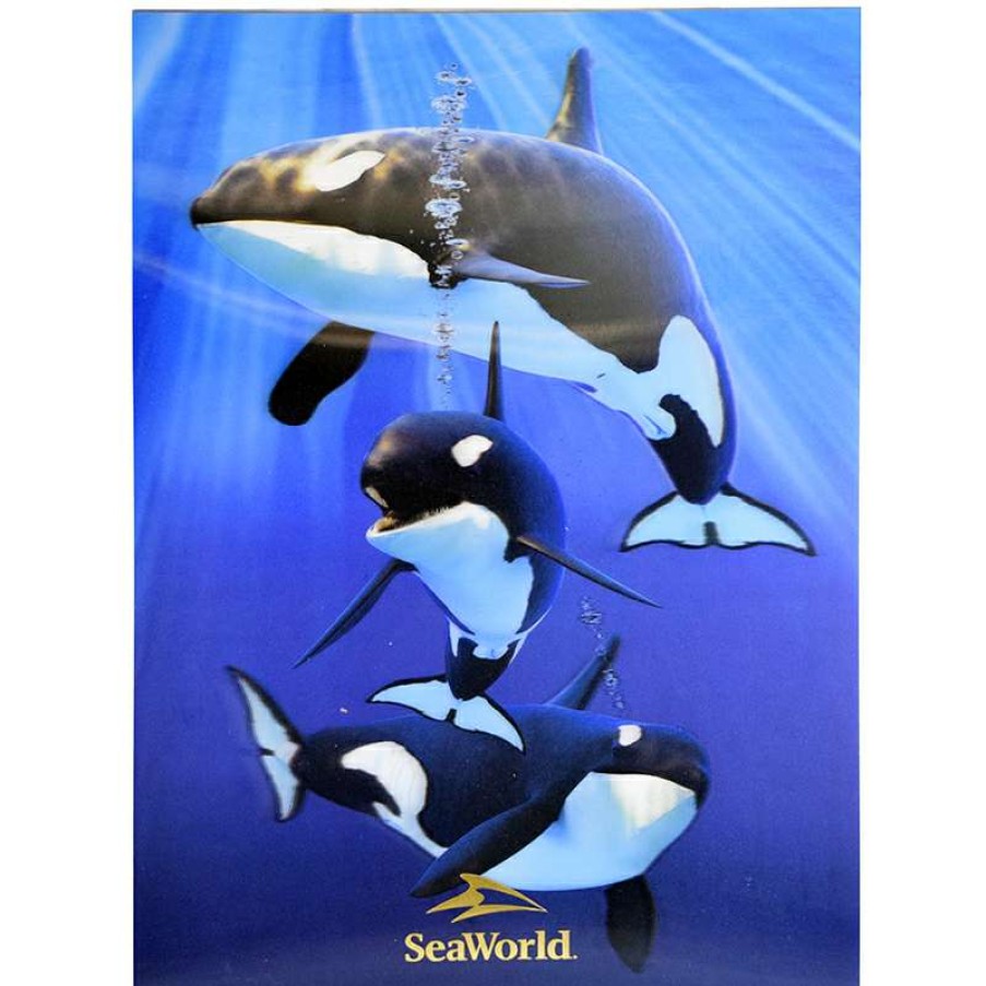 Prints And Signs * | Seaworld Lenticular Poster Orcas Disney Sale